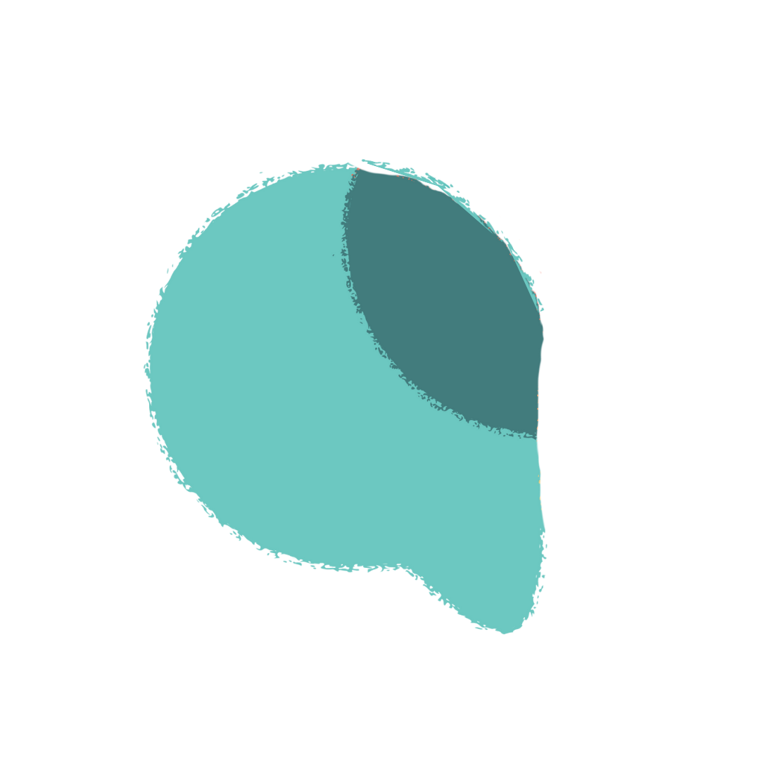 Première partie du logo redminds