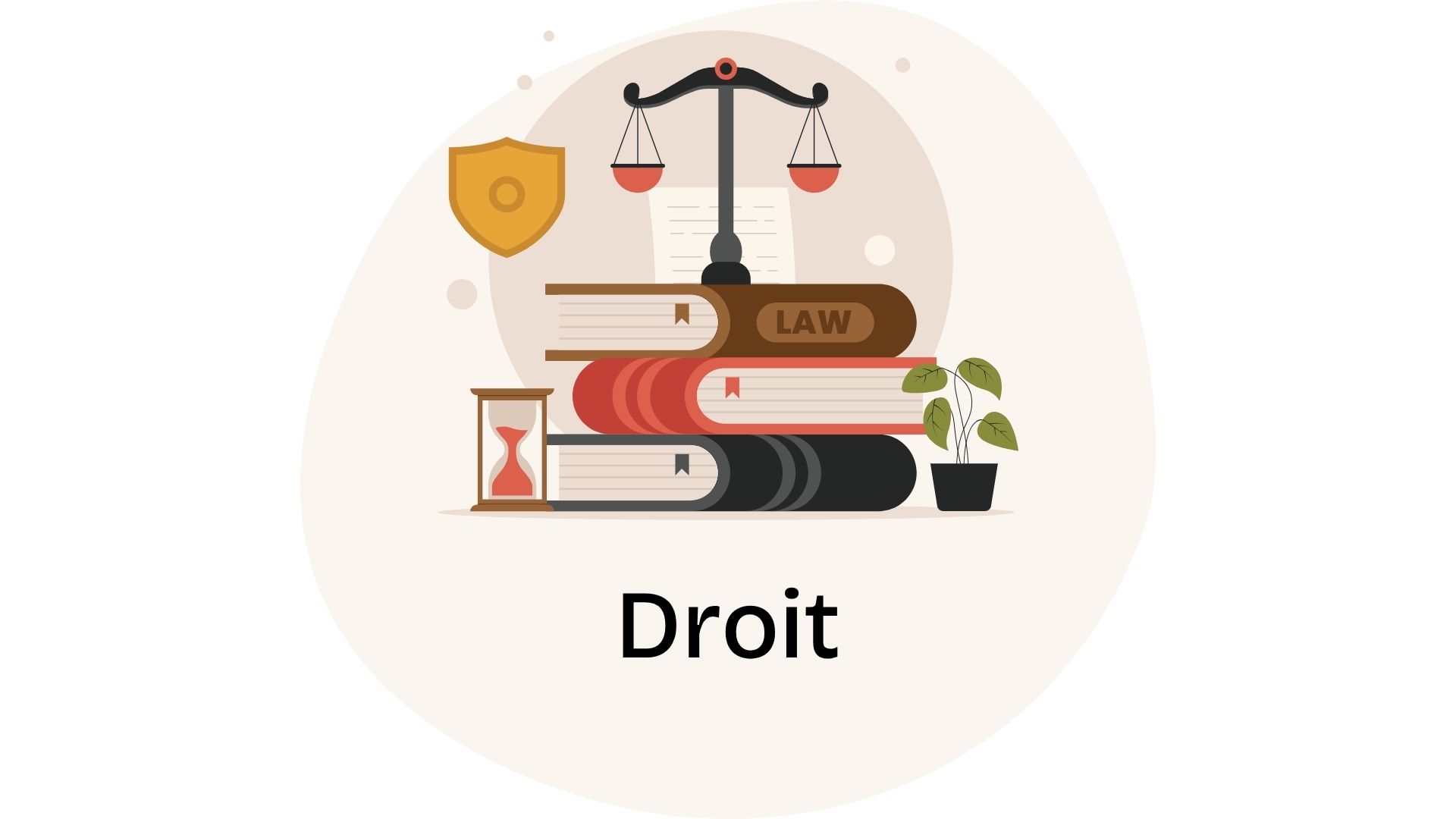 Formateur certifié en droit.